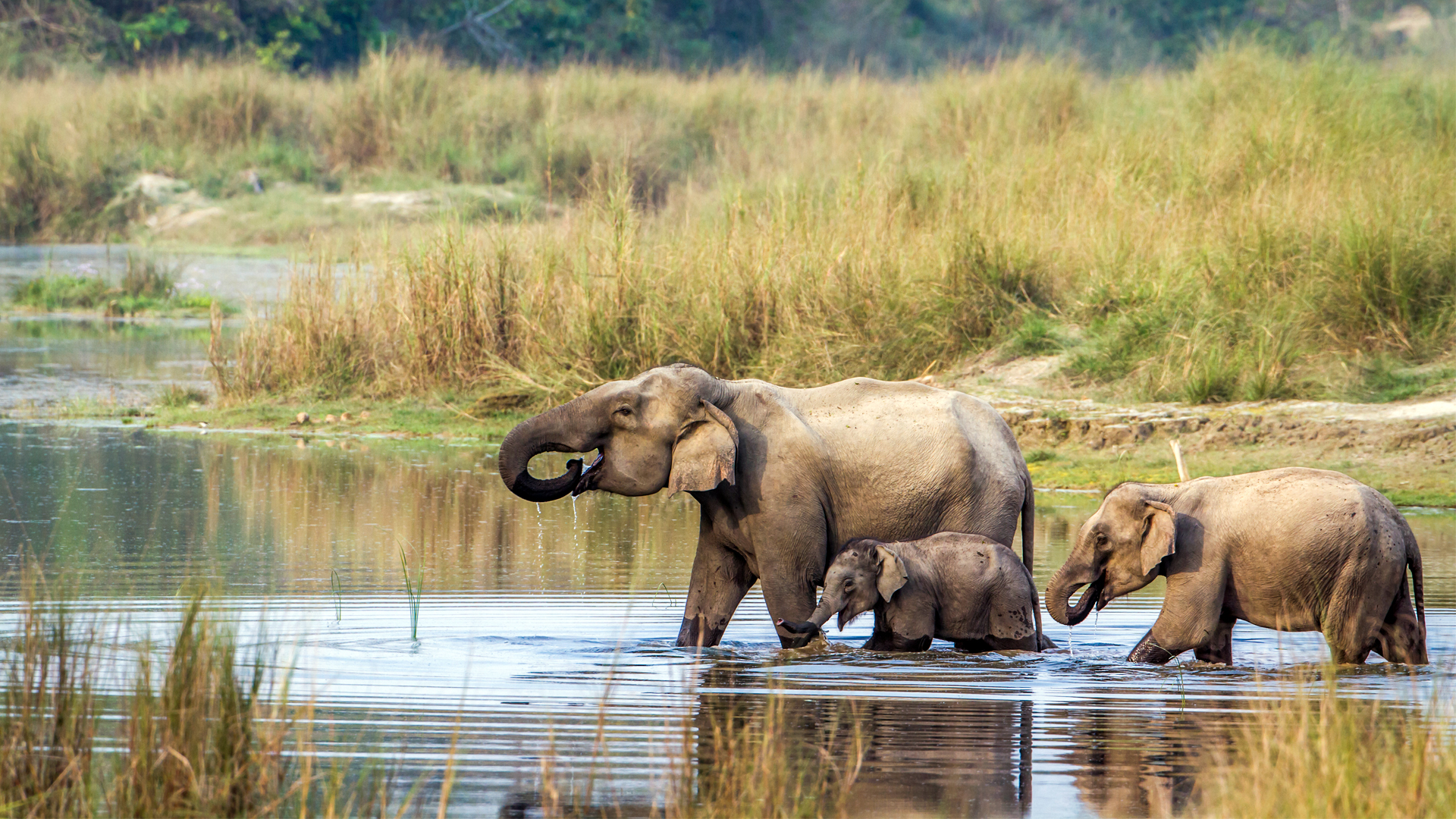 Adventure and Wildlife