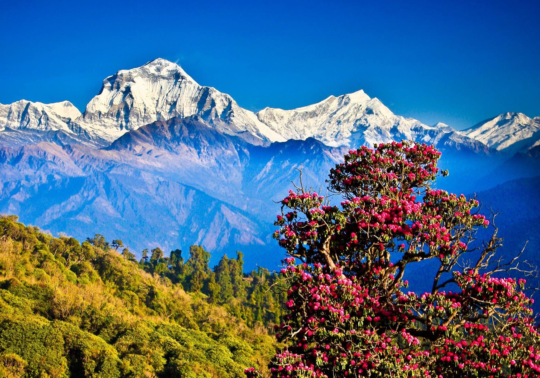 Pristine Nepal